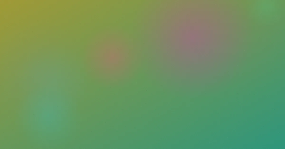 花小龙推荐：新手这样选